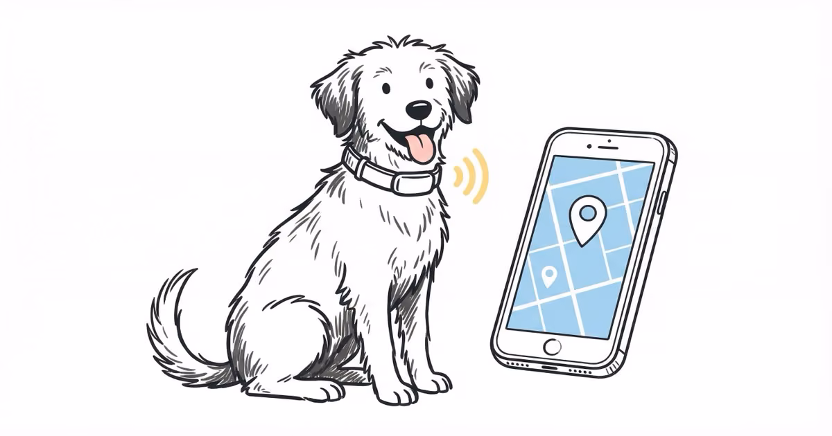 The 5 Best Smart Dog Collars for GPS Tracking in 2026